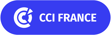 Logo CCI FRANCE
